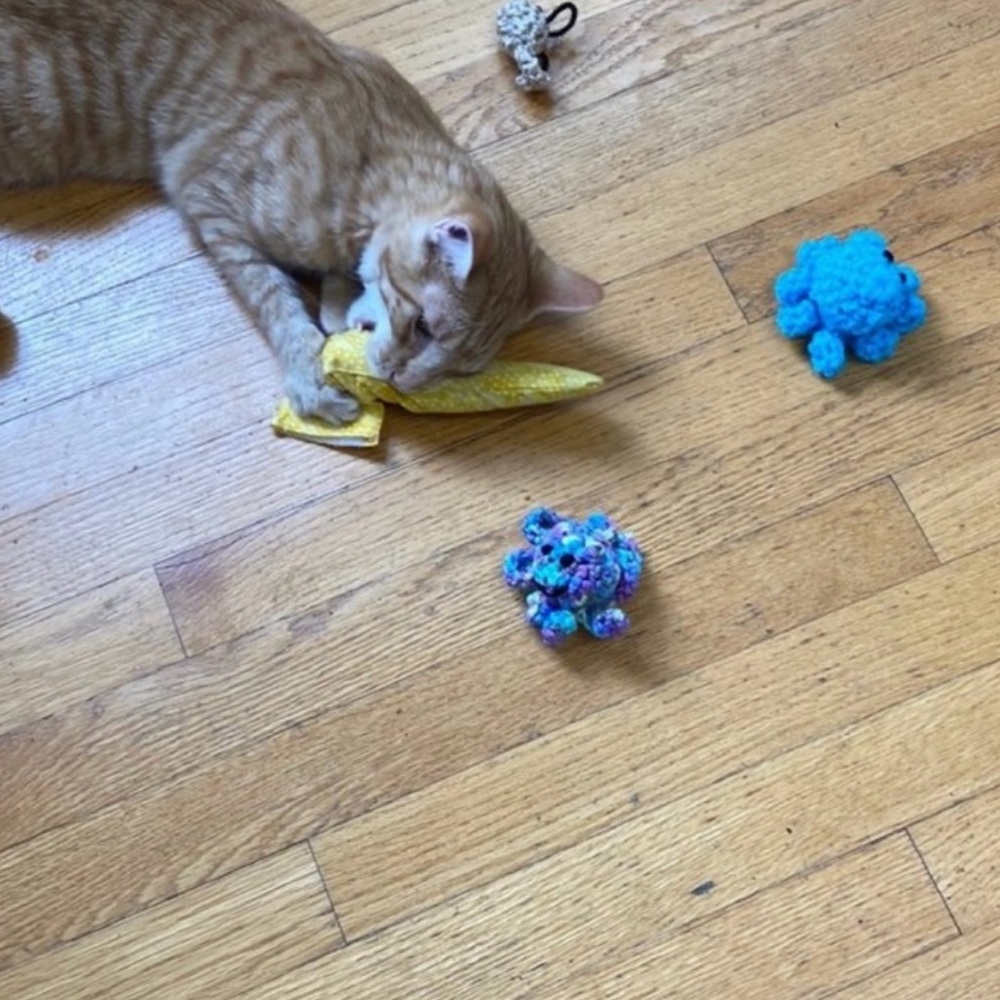 Hand Crafted Yellow Bumblebee Cat Toy Crochet Organic Catnip Interactive Toy - Picture 10 of 12